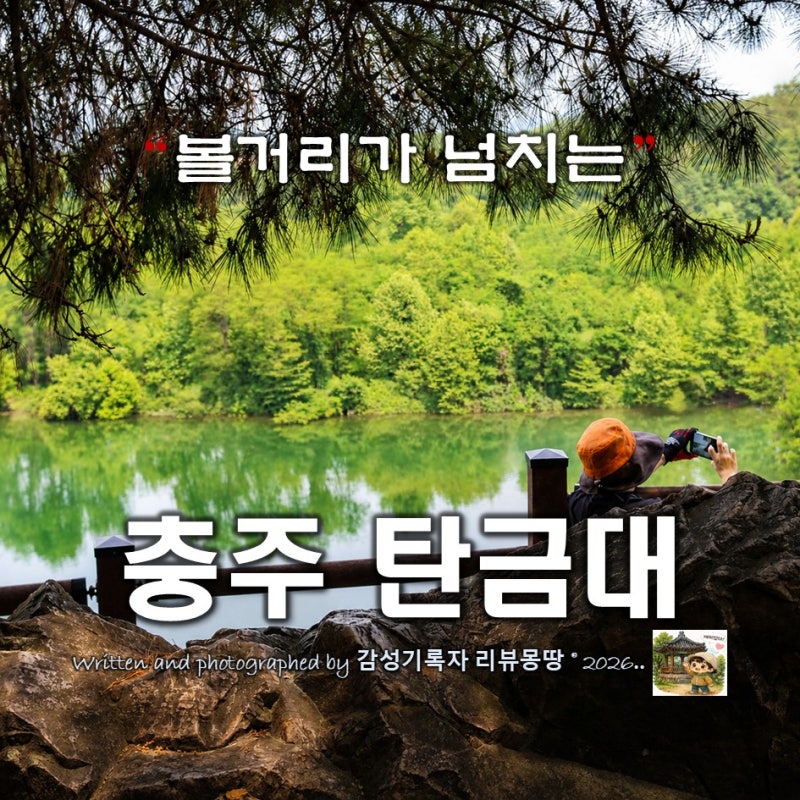 사진 8