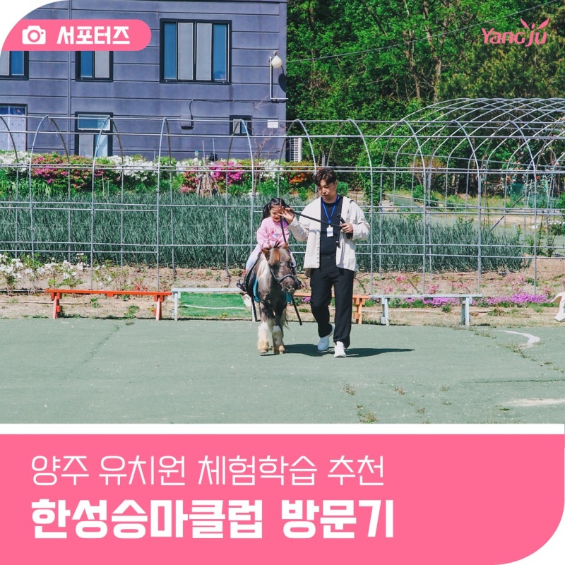 양주 유치원 체험학습 추천코스, 한성승마클럽 방문기