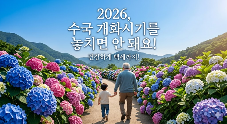  수국 개화시기 놓치면 1년 기다려야, 2026 지역별 만개시기와 전국 명소 BEST 6