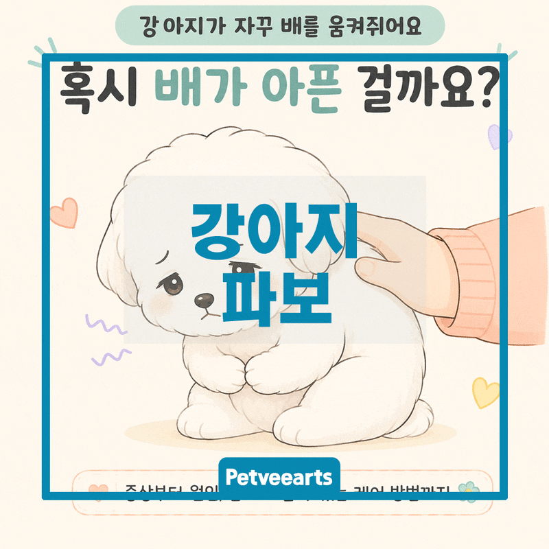 강아지 파보바이러스 증상, 장염과 어떻게 다를까요? 구별하는 방법과 소독까지