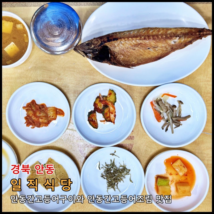  [안동] ️ 유명한 안동간고등어 구이, 조림 맛집 '일직식당'