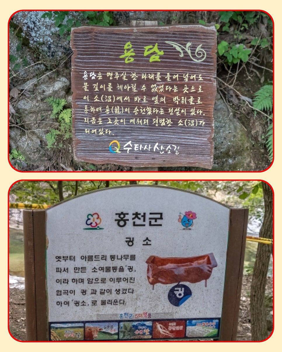 설레임 사진 4