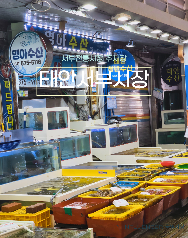 태안 서부 수산 시장 서부전통시장 주차장 가볼만한곳
