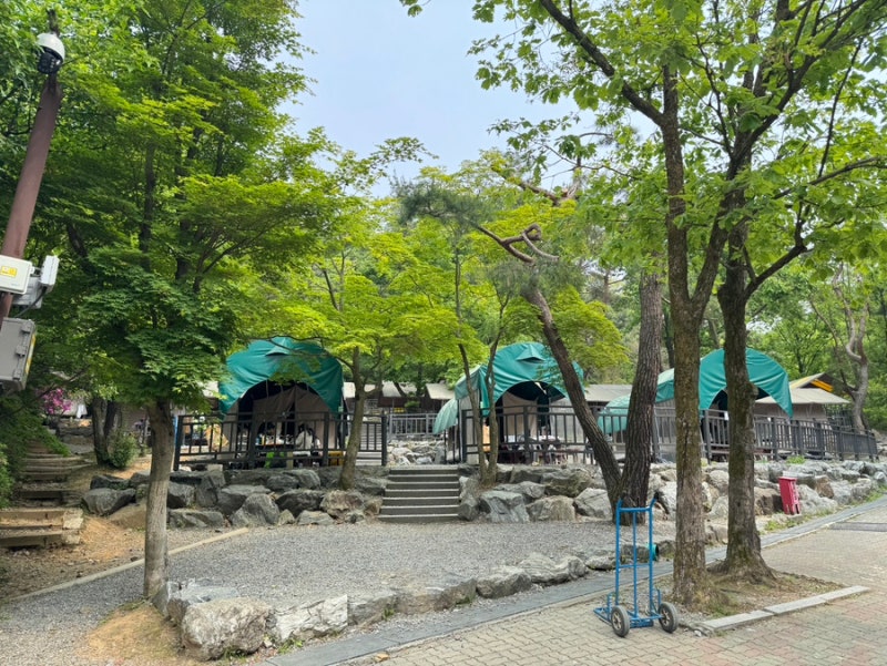 과천 서울대공원 캠핑장 봄시즌 오픈!