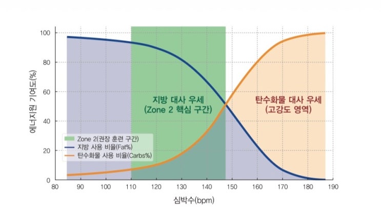  [1편] 존2 러닝이란 무엇인가: 지방을 태우는 진짜 구간