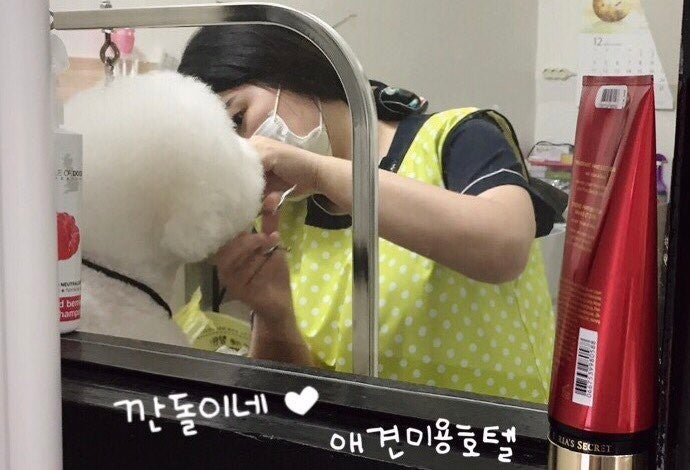 사진 5