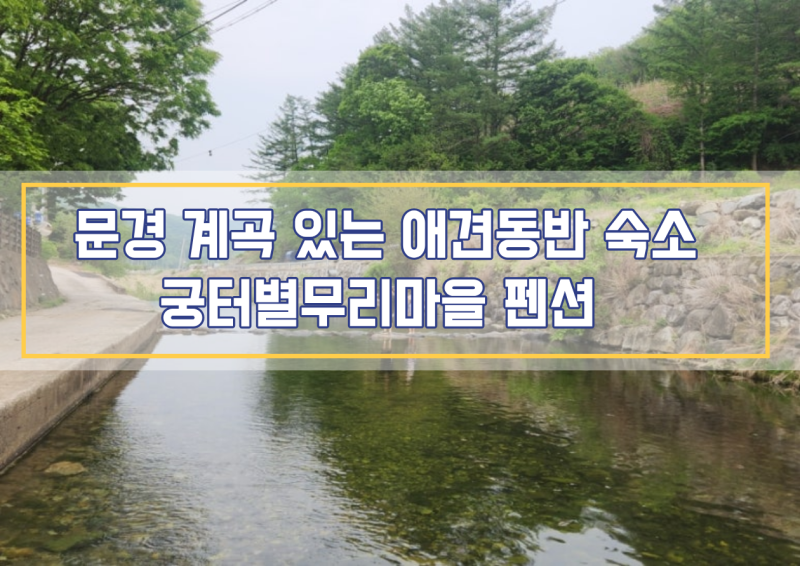 사진 7
