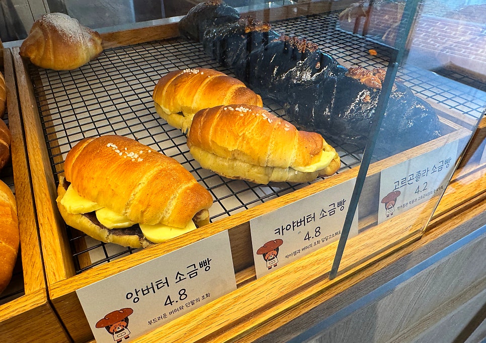 핀토 사진 4