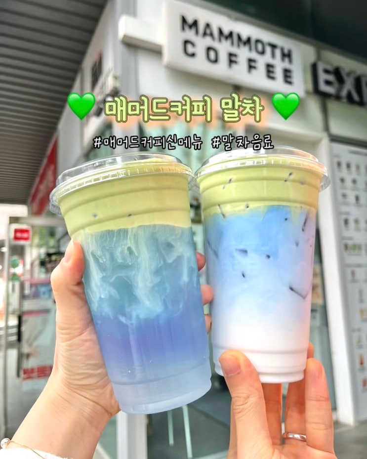  매머드커피말차 클라우드 블루 코코넛 매머드커피 신메뉴 칼로리 카페인 가격 후기