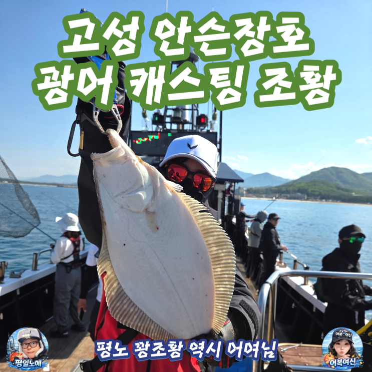  광어 캐스팅 동해 안슨장호 오후 타임 맛 보기!