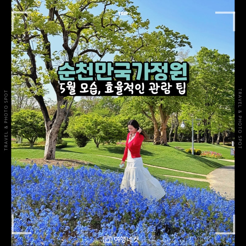 사진 8