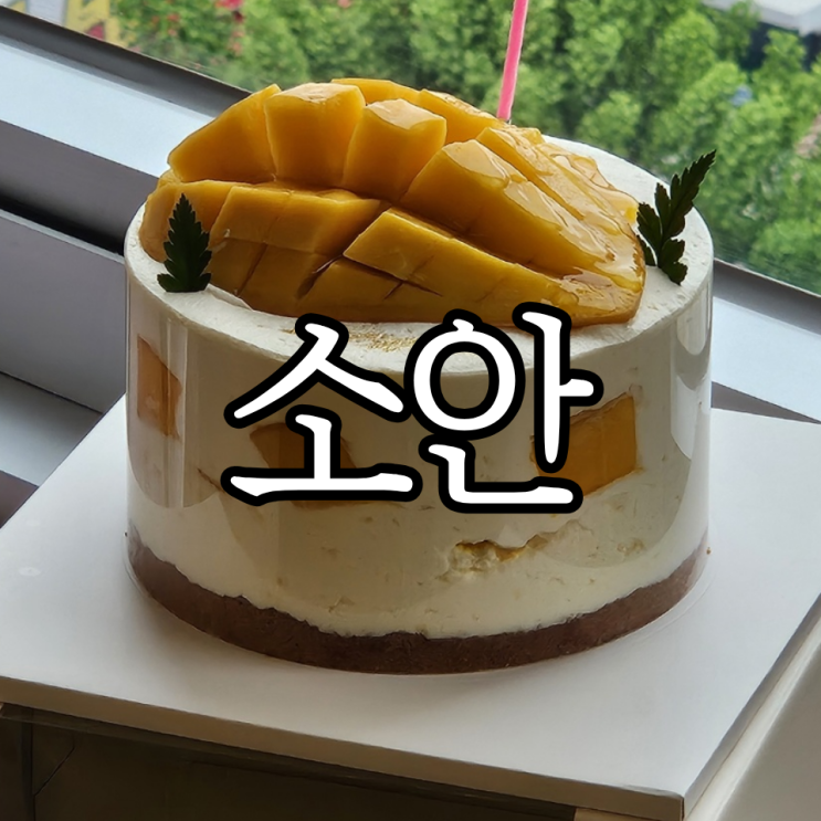 창원디저트맛집 '소안 창원점' | 망고케이크로 유명한 반림동 카페