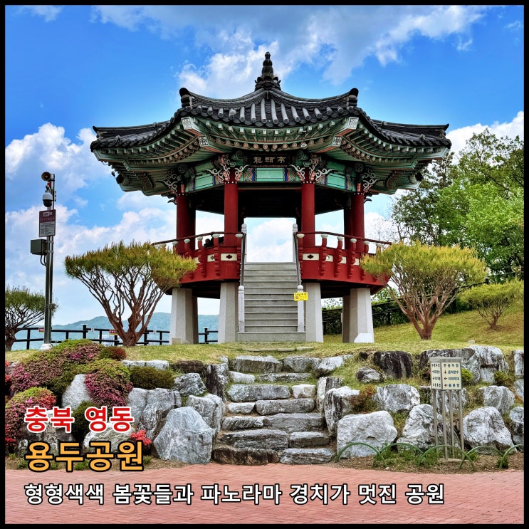  [영동] 형형색색 봄꽃들과 파노라마 경치가 멋진 공원 '용두공원'