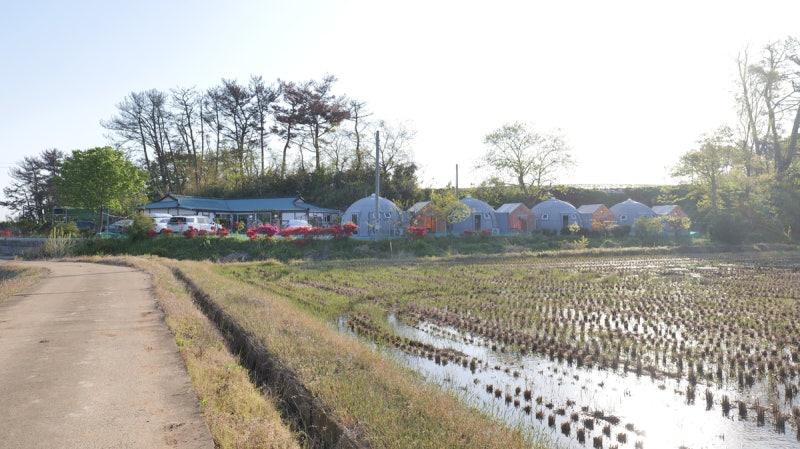 사진 8