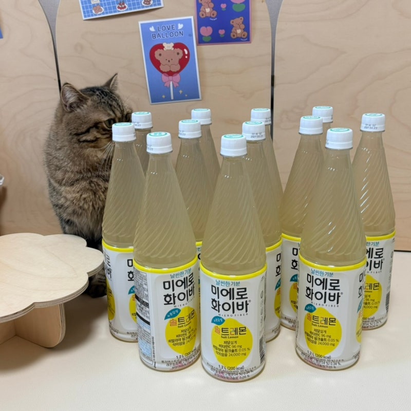 더운 날, 수분보충하기 좋은 대용량 레몬음료 미에로화이바 솔트레몬 후기