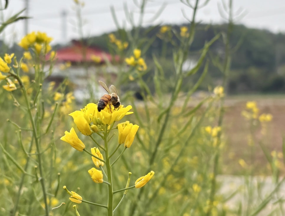 부경식당 사진 3
