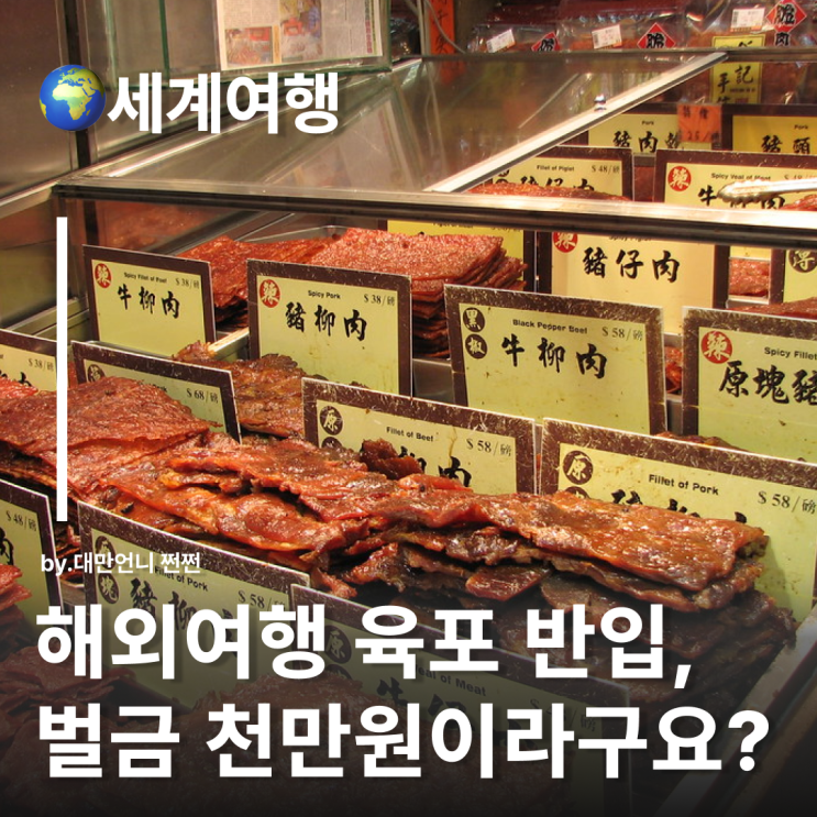  해외여행 후 육포 반입 벌금 최대 천만원 대만 홍콩 마카오 중국육포 한국에 가져오면 안된다?