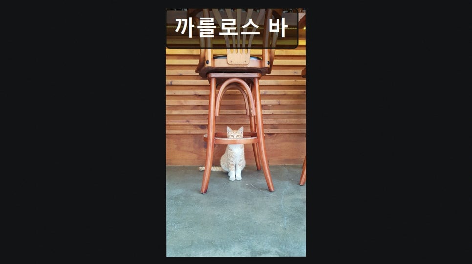 까를로스바 사진 3
