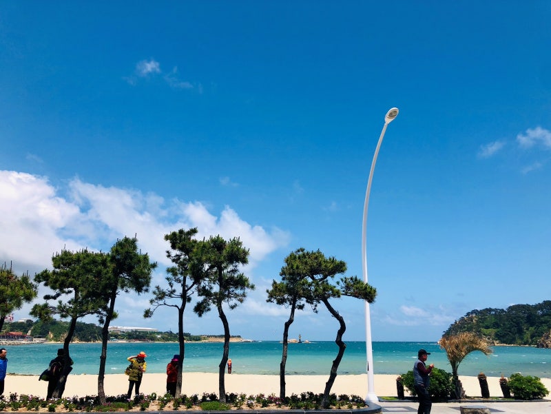 사진 6