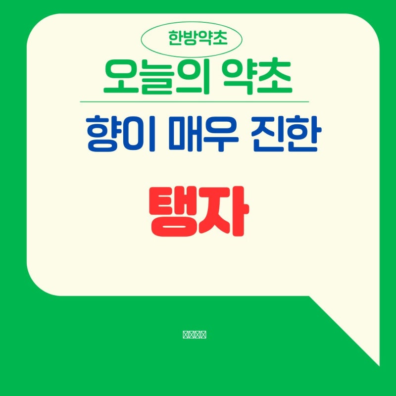 탱자 먹는법부터 활용법까지, 향은 좋지만 생으로 먹기 어려운 이유