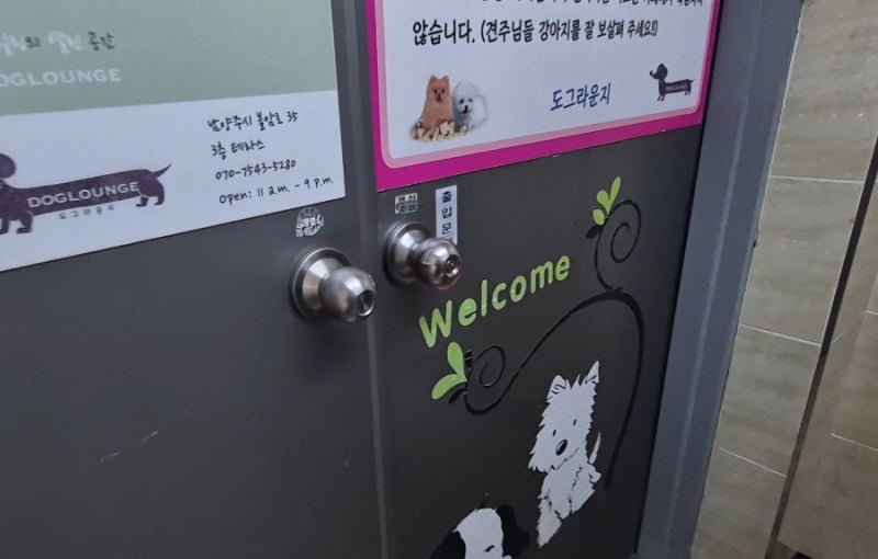 사진 4