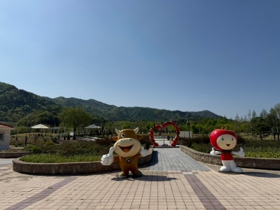 사진 7
