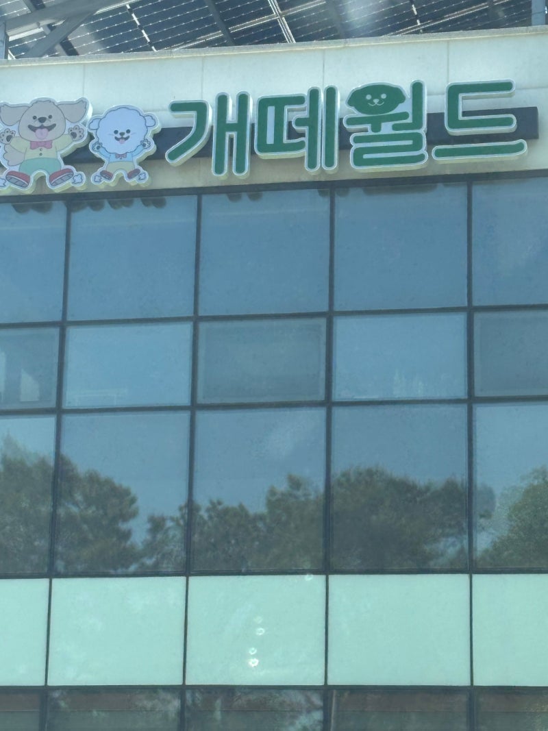 사진 8