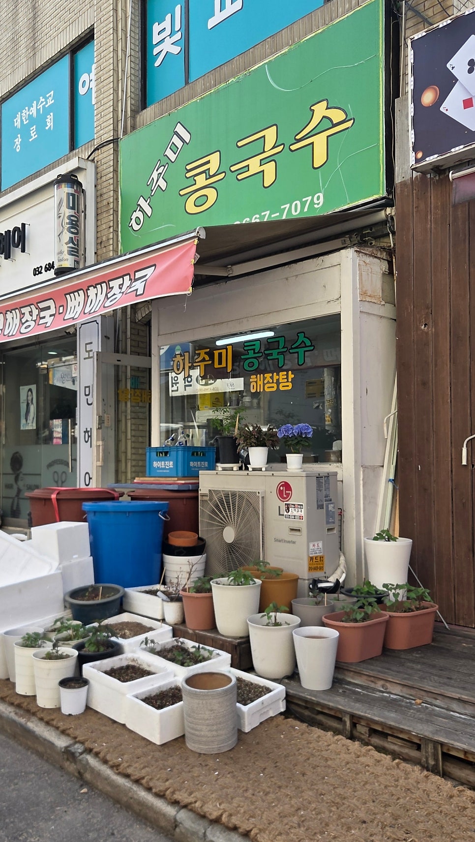 하주미콩국수 사진 1