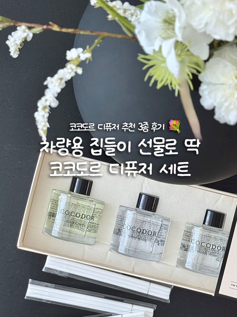 코코도르 디퓨저 추천 3종 후기, 차량용 집들이 선물로 딱인 이유 4가지