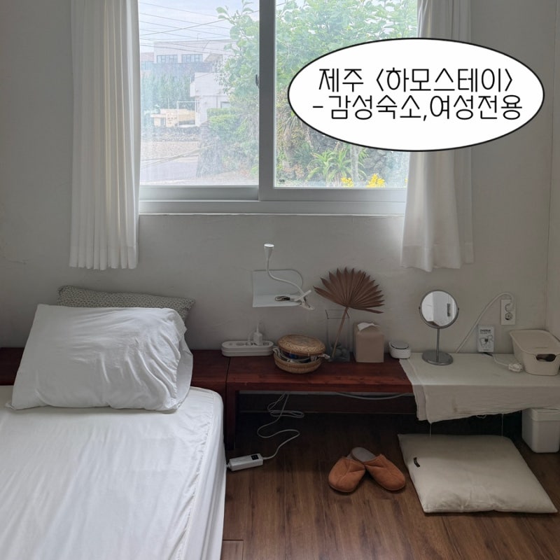 제주 금능해변 숙소 추천 혼자 여행하기 좋았던 여성전용 하모스테이 후기