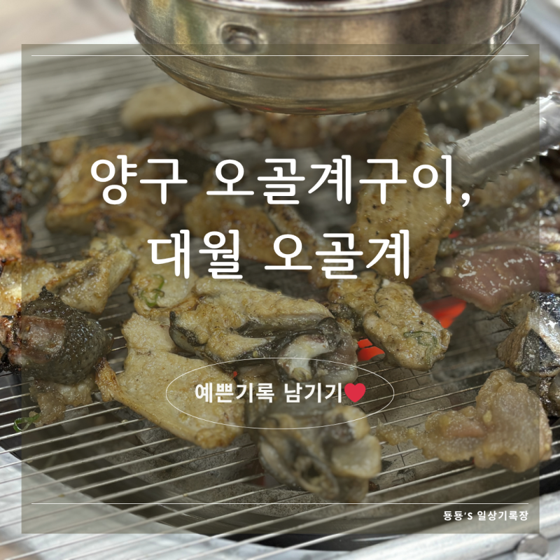[양구맛집] 이색 보양식, 대월 오골계 숯불구이(허영만 백반기행 맛집, 예약 및 주차 등)