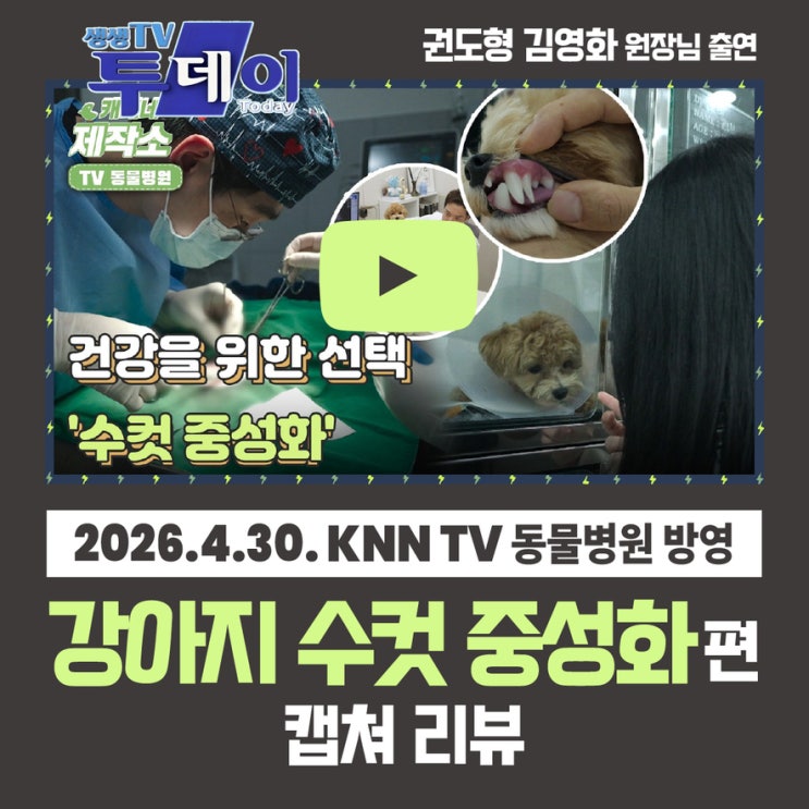  권도형 김영화원장 KNN TV동물병원 출연 건강을 위한 선택 수컷 중성화 캡쳐 리뷰 부산 개금 닥터펫