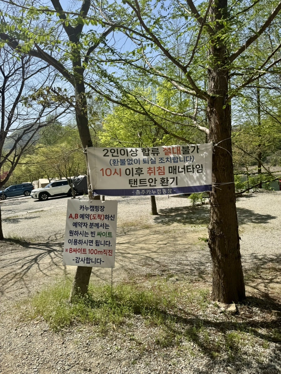 충주카누캠핑장 사진 4