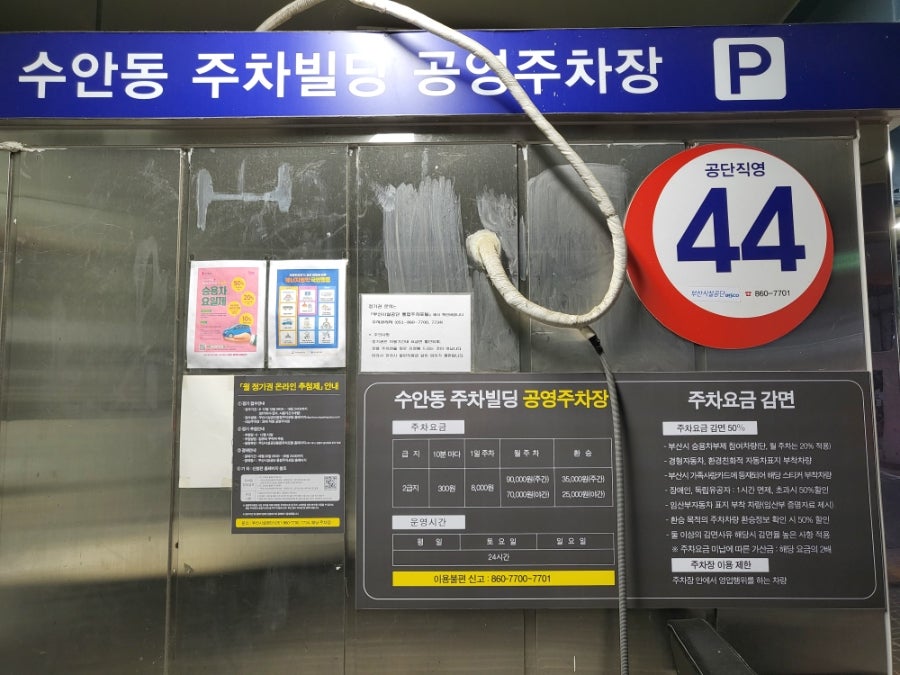 정드림흑염소 부산동래점 사진 4