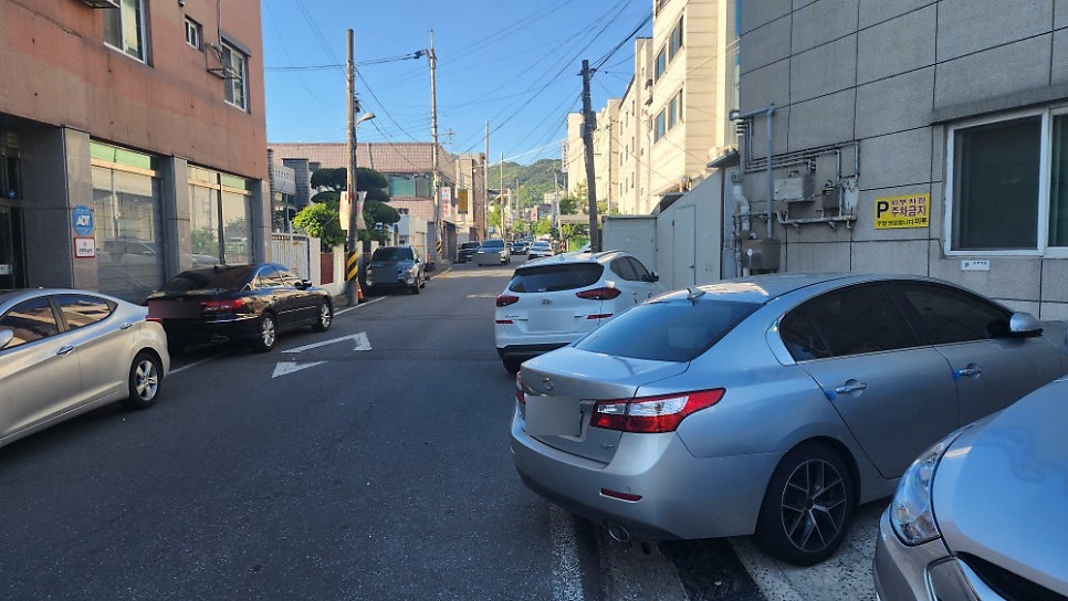 미루 사진 3