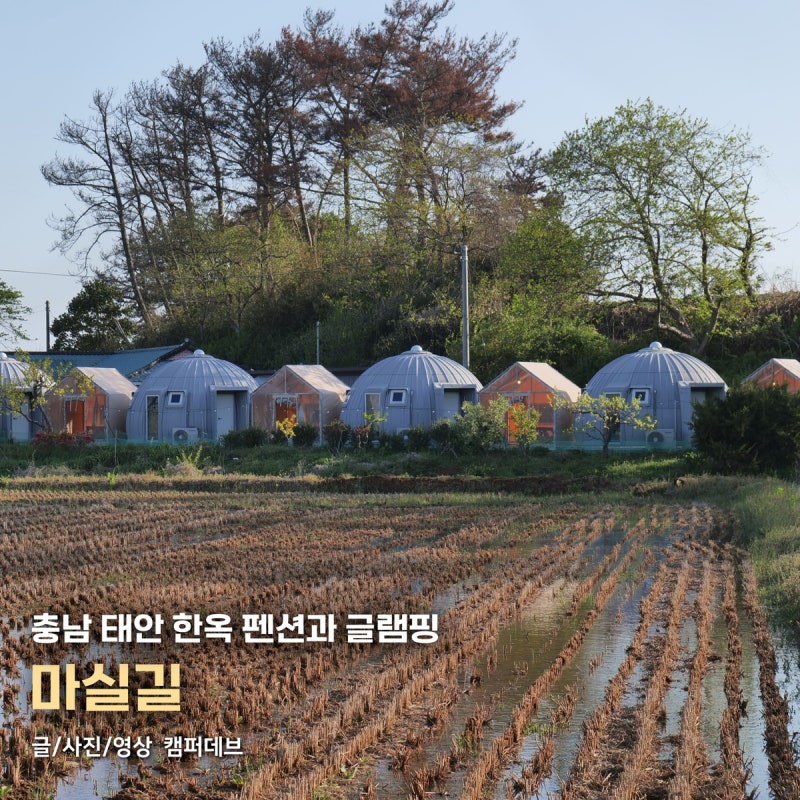 사진 7