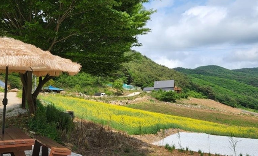 매화골산촌펜션 사진 5