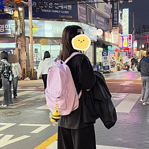 잔스포츠 슈퍼브레이크 플러스 랩탑 노트북 백팩 파스텔 라일락 후기
