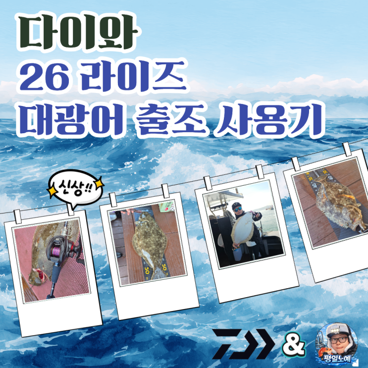  다이와 26 라이즈 베이트릴 인천 대광어 실사용기