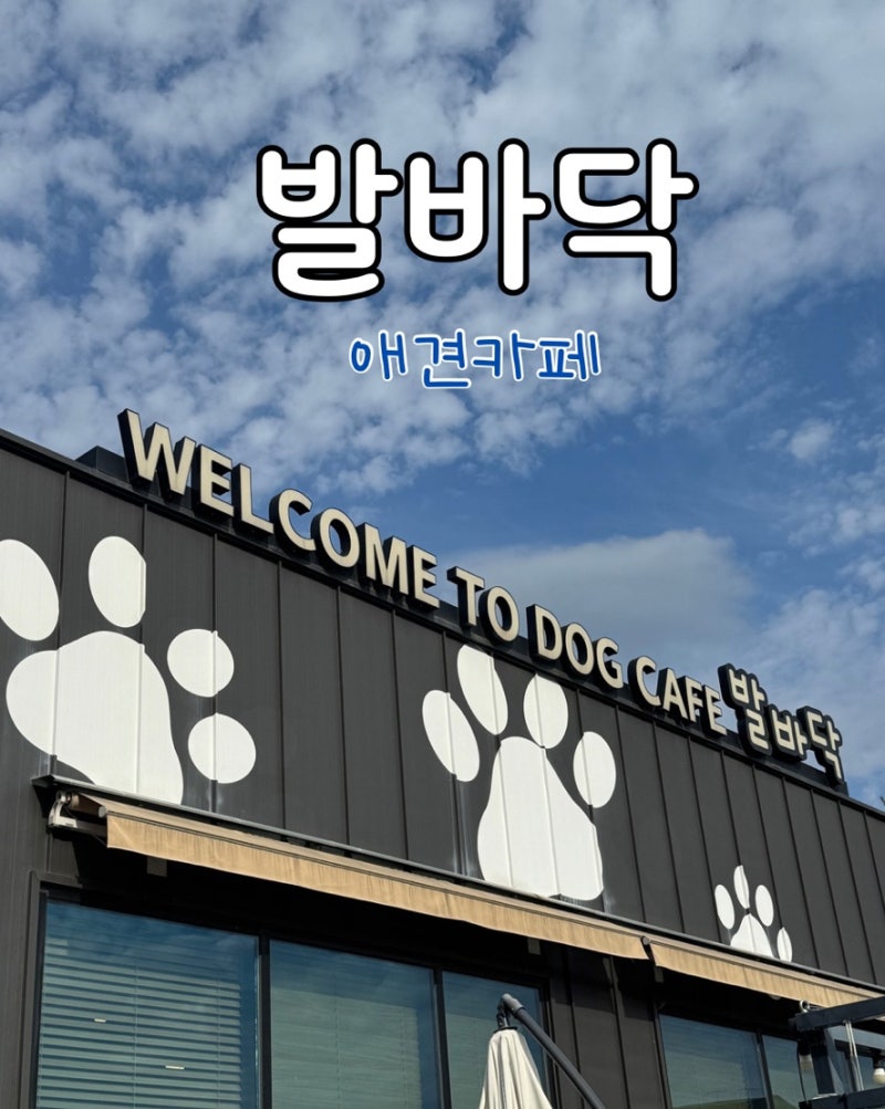 사진 4