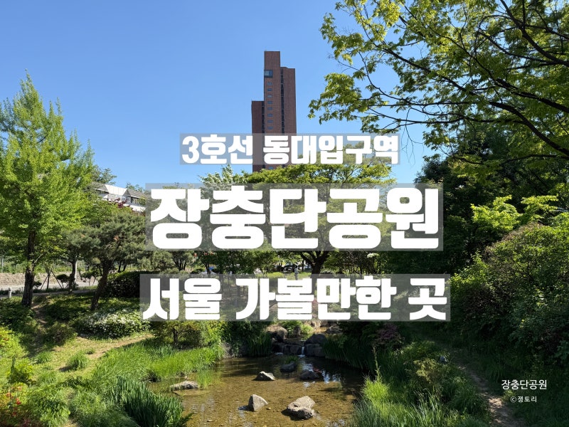 사진 8