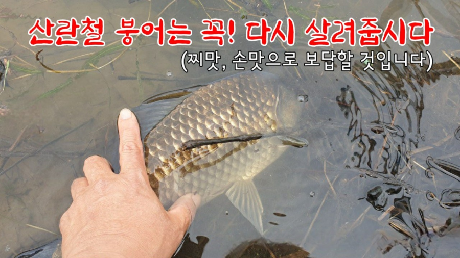 신촌지 사진 6