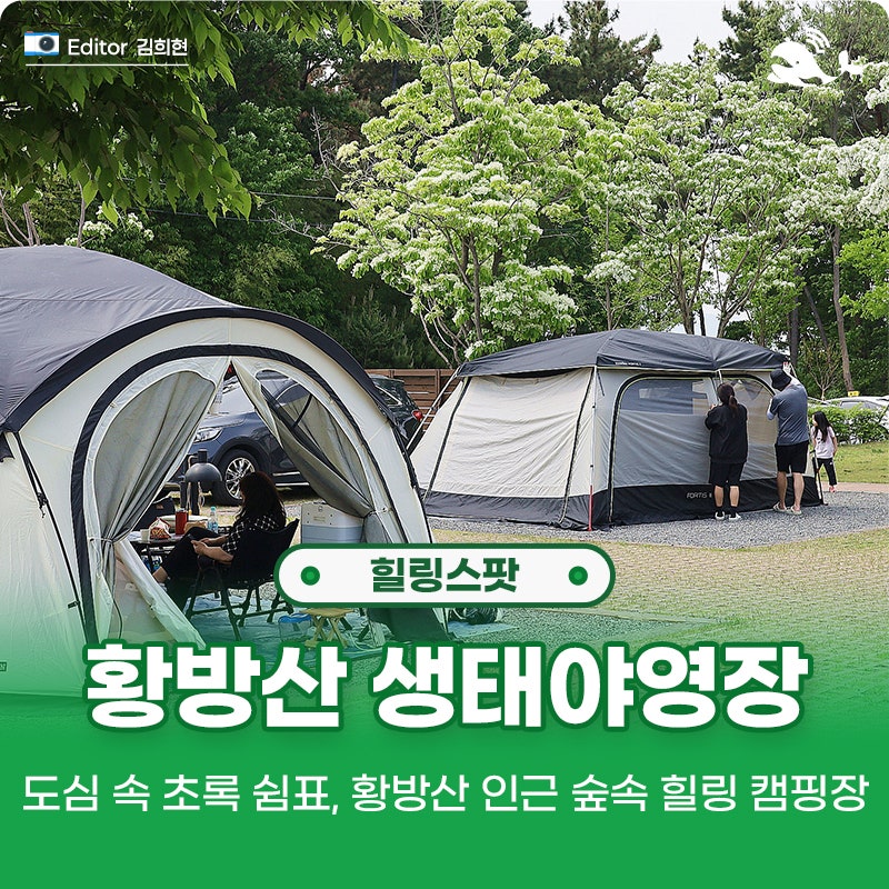 사진 2