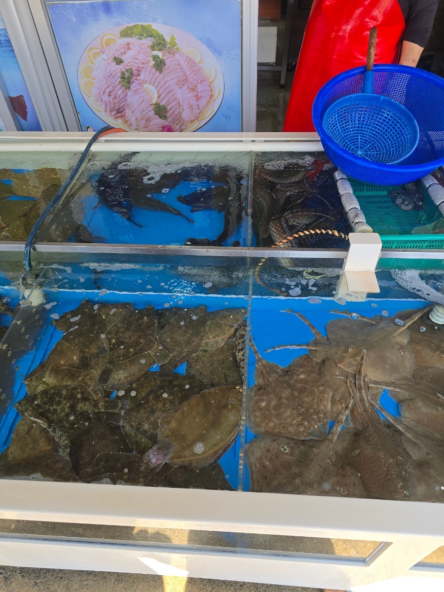 삼남매횟집 사진 3