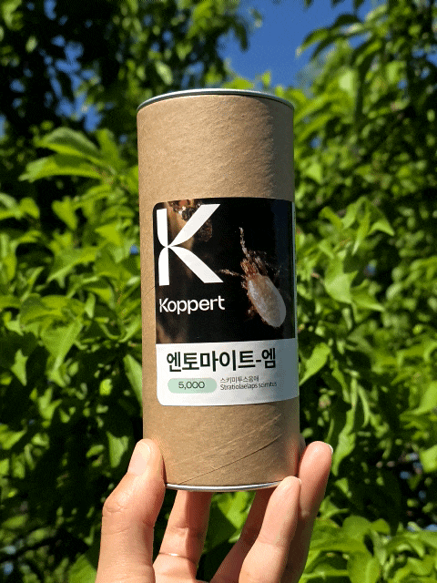 뿌리파리퇴치 친환경 살충제 가루응애퇴치 토양살충제