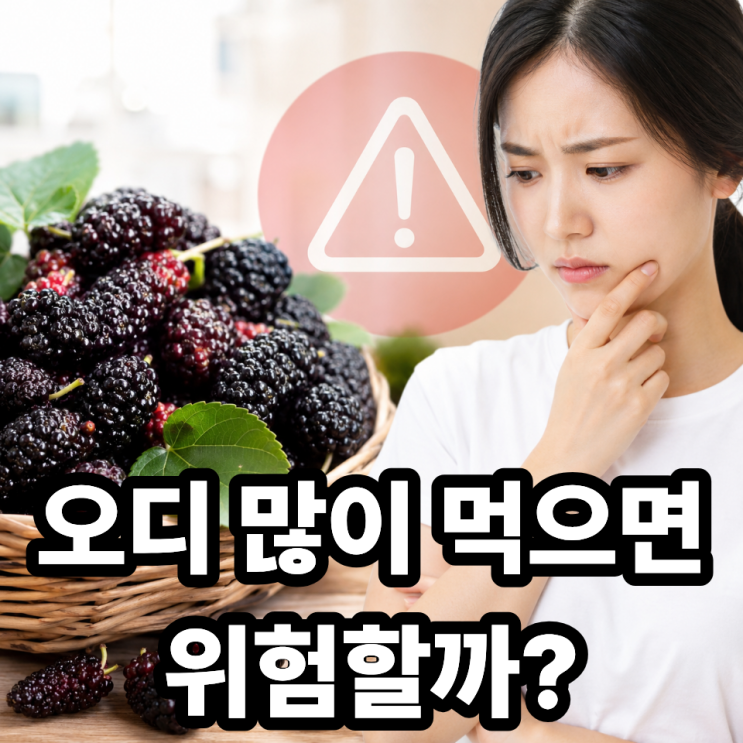  오디 부작용 있을까? 꼭 알아야 할 주의사항 총정리