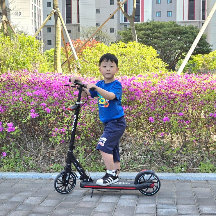  두발 킥보드 초등학생 선물 안전한 라이딩 킥세이프 사용기