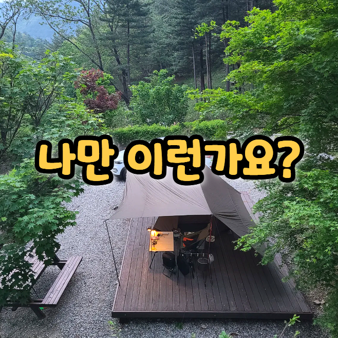 "사람은 좋아하는데 혼자 있고 싶어", 솔캠러의 모순