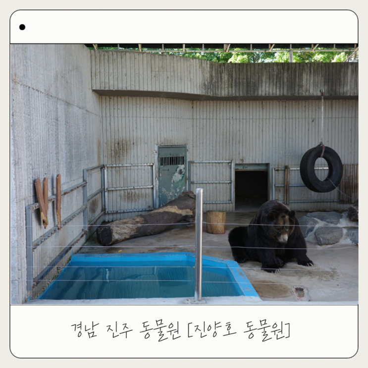  [진양호 동물원] 아이랑 가볼 만한 곳 진주 호랑이 동물원