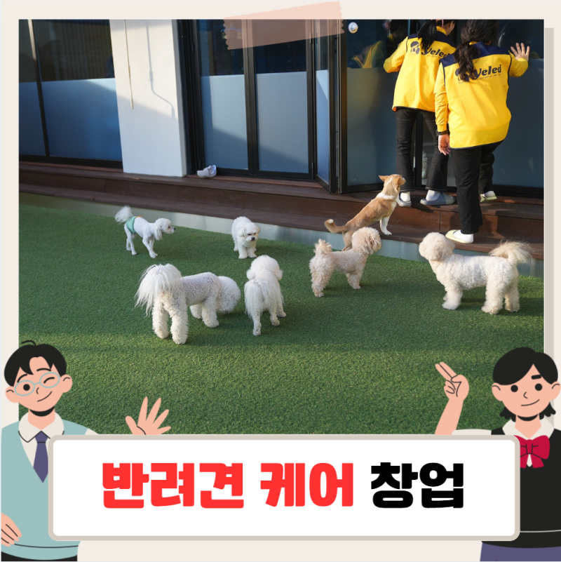 사진 4